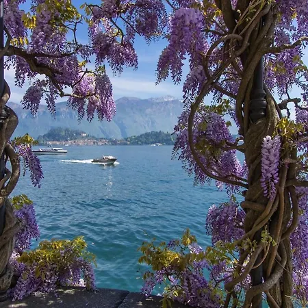Garibaldi View شقة *